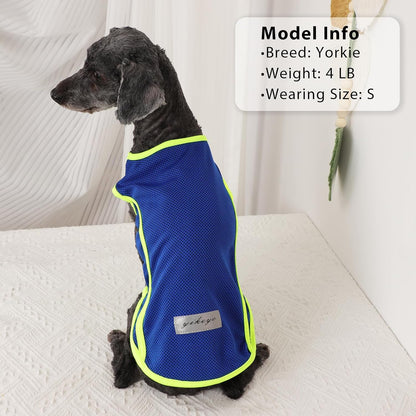 2-Pack Quick-Dry Dog Vests for Summer - Reflective Strip Sleeveless T-Shirts for Boys and Girls, Breathable Cat Tank Tops, Pet Apparel (Blue and Turquoise, XS)