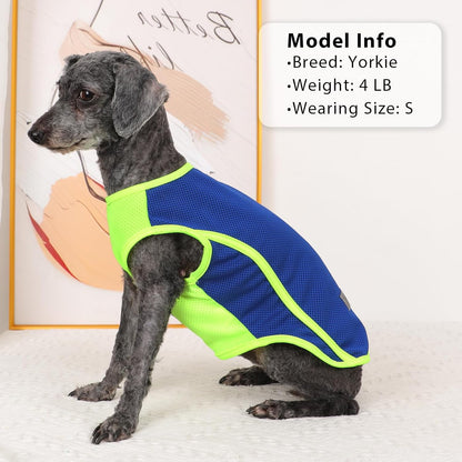 2-Pack Quick-Dry Dog Vests for Summer - Reflective Strip Sleeveless T-Shirts for Boys and Girls, Breathable Cat Tank Tops, Pet Apparel (Blue and Turquoise, XS)